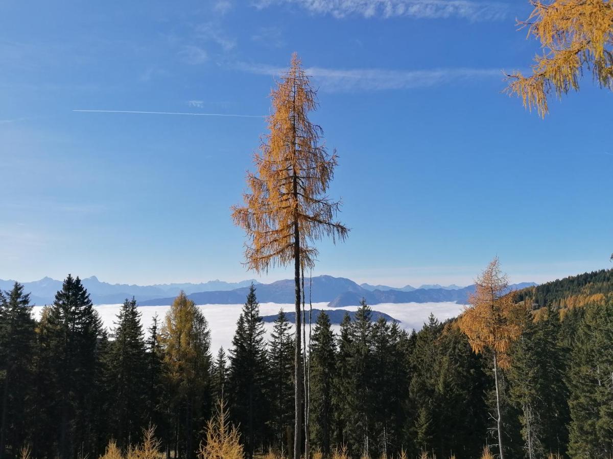 Gerlitzen Ferienappartement Paul Im Ski- Und Wandergebiet, Kanzelhoehe, Ossiacher See Deutschberg Exteriér fotografie